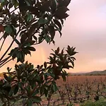 La Rose Des Vins * Pouzolles