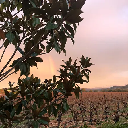 La Rose Des Vins * Pouzolles